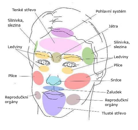 Mapa Tv e S Va m Akne V m Tv ekne Jak Jste Nemocn A Co V s 