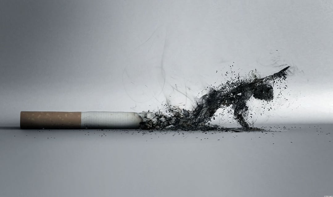 fajcenie-2