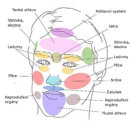 Mapa tváře : S vaším akne Vám tvář řekne jak jste nemocný a co Vás přesně trápí