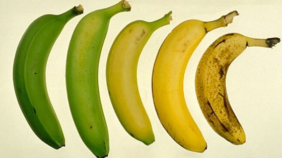 Nikdy jsem v obchodě nevěděla, jaké banány mám koupit, aby byly zralé. Tento obrázek mi však vše vysvětlil