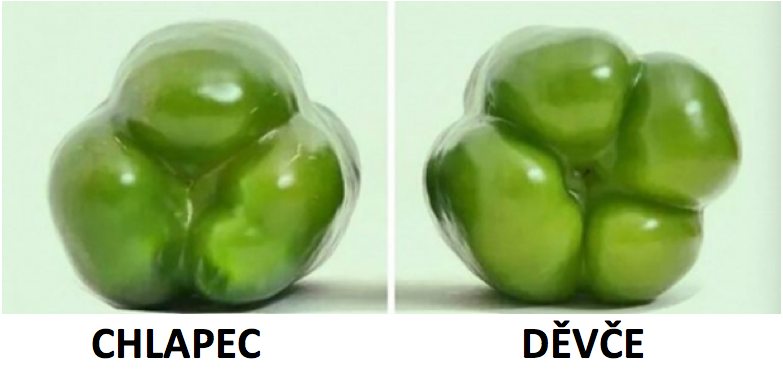 Stává se Vám občas, že koupíte omylem pálivou papriku místo té sladké? Tak s tímto trikem se už nikdy nezmýlíte!