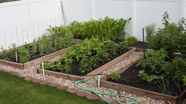 Naučte se na zahradě využívat dešťovou vodu, skořápky od vajec nebo čajové sáčky