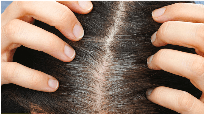 Vědci přichází s důvody, proč vlasy šediví a se způsoby, jak tento proces zpomalit!