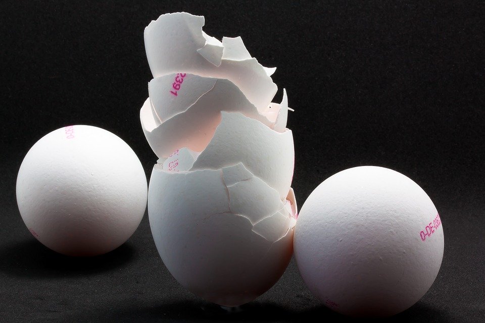 Proč byste neměli vyhazovat vaječné skořápky?