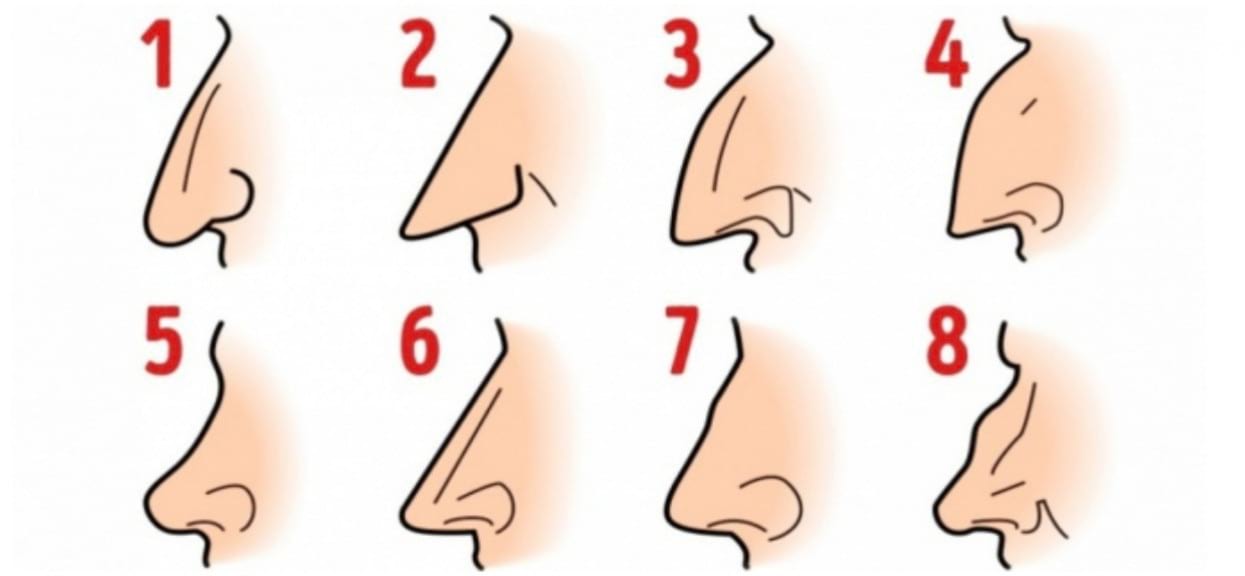 Tvar nosu prozradí vaše skryté vrozené vlastnosti o kterých jste nevěděli. Který máte vy?