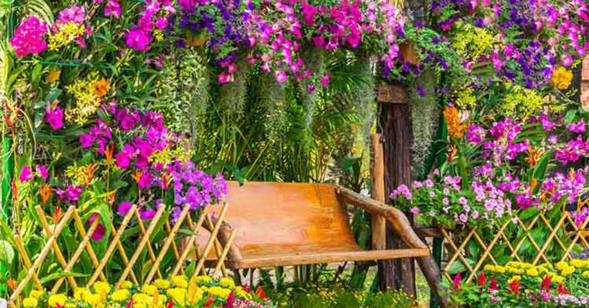 Uspořádejte svou zahradu kvetoucími rostlinami po celou sezónu: 5 květin, které si můžete užít v každém ročním období