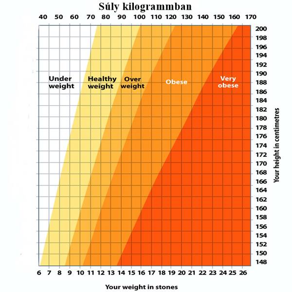 Vyberte na této tabulce svou výšku a ta Vám prozradí, kolik byste optimálně měli vážit! – nejpřesnější tabulka váhy pod sluncem