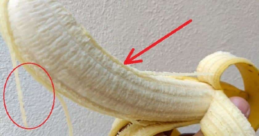 Pokud jíte banány a všimli jste si na nich bílých „vláken“, pak si toto přečtěte: Většina čechů o jejich benefitech vůbec netuší a jen je odlupuje