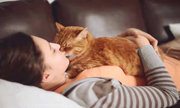 Pokud spíte se svou kočkou, pozor! Tohle musíte vědět! Podle některých názorů může být přítomnost tohoto zvířete pro lidské zdraví mnohem výraznější, než jste si kdy mysleli