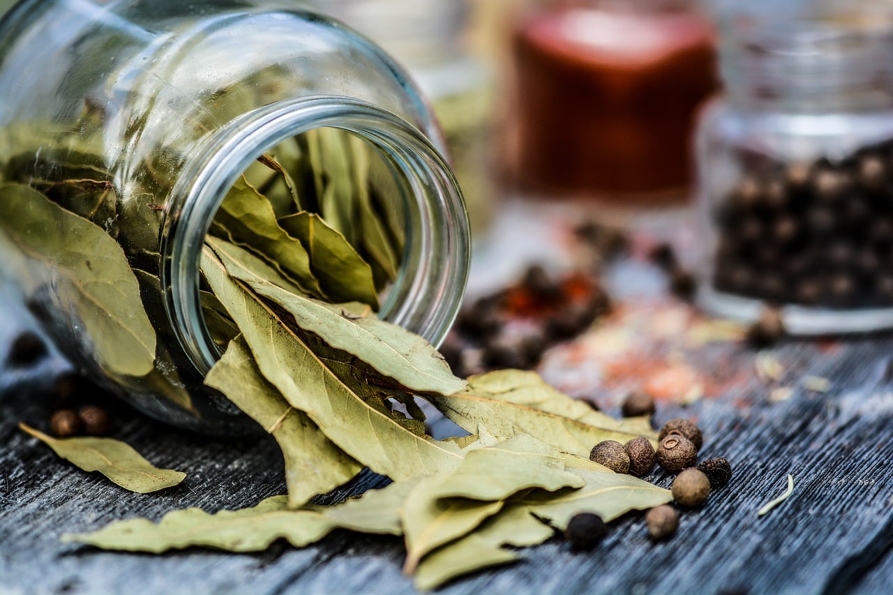 Bobkový list je nejenom koření, ale i přírodní lék