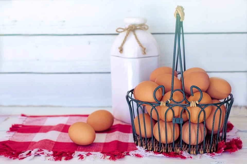 Z vaječných skořápek lze vyronit unikátní dekorace