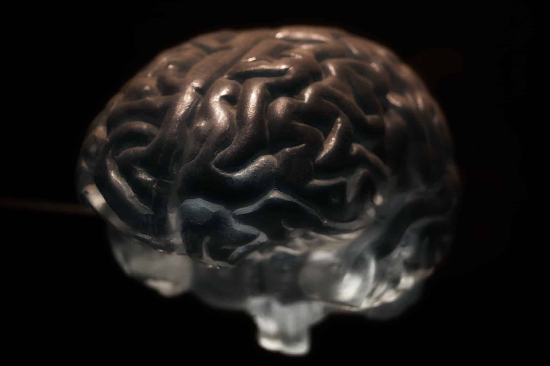 Neurolog poradil způsob, jak zlepšit paměť v každém věku