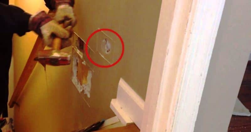 Muž na videu zachytil, jak z díry ve zdi skáče myš