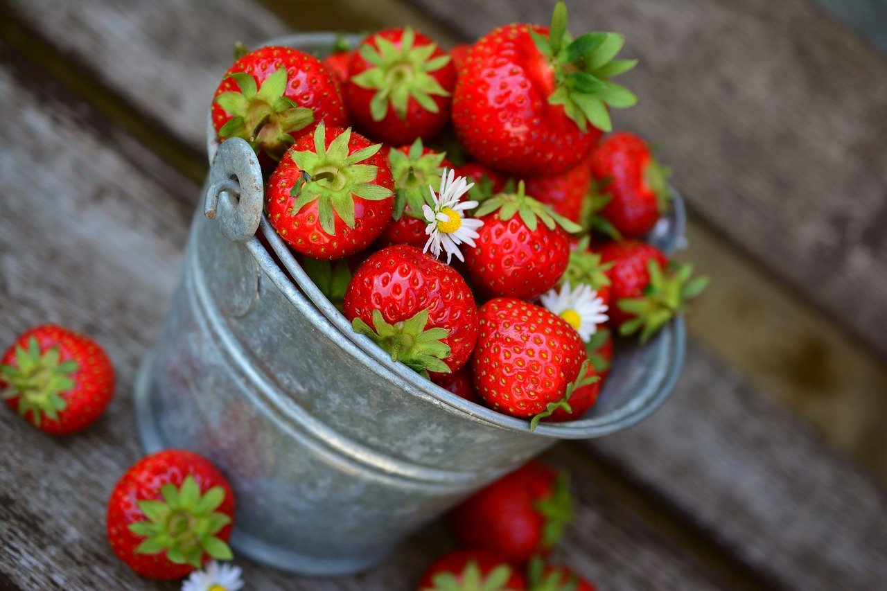 Jak vypěstovat chutné, zdravé a šťavnaté jahody?