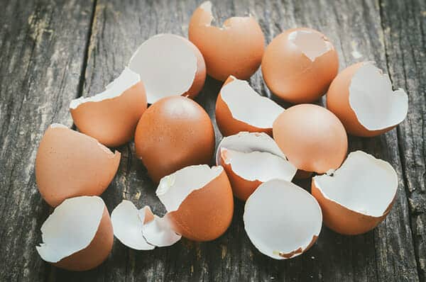 Proč nevyhazovat skořápky od vajíček? Rozdrcené dodají živiny půdě i odpudí slimáky!