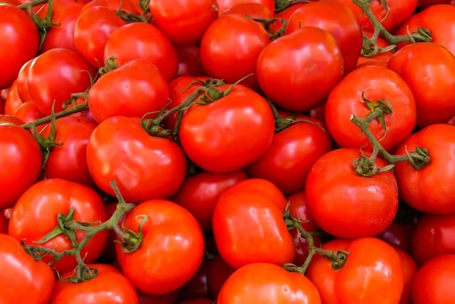 Nakládaná čerstvá rajčata z pytlíku, dokonalá pochoutka
