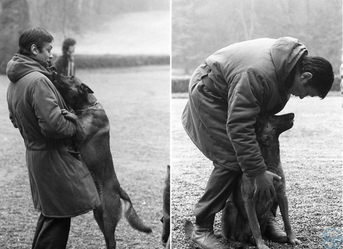 Bezpodmínečná a pravá láska! Tak charakterizuje Alain Delon vztah ke svým psům!