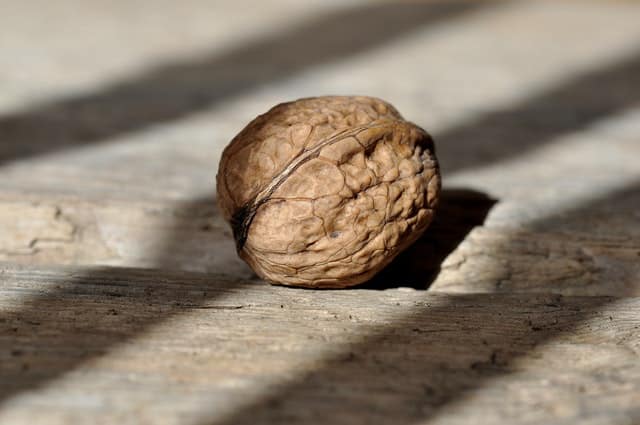 Muž vydělává prodejem vlašských ořechů peníze na celý rok