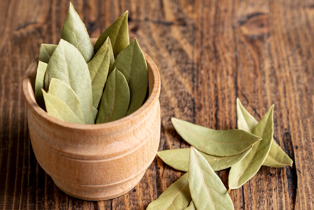 Čaj z bobkových listů vás zbaví kašle i nachlazení