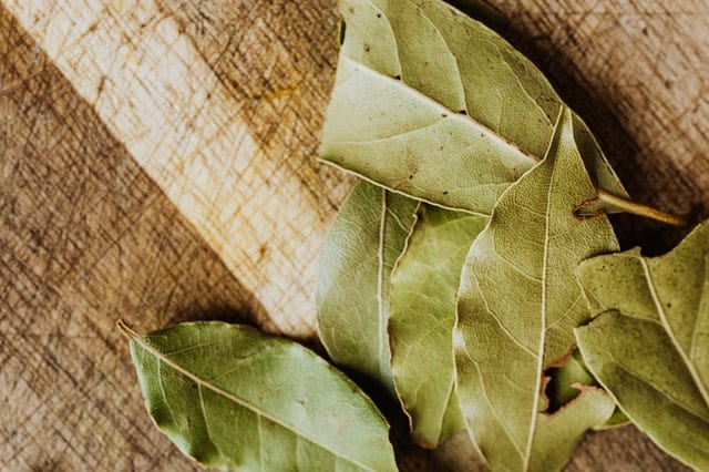 Vyzkoušejte doma bobkový list. Co pro vás může udělat?