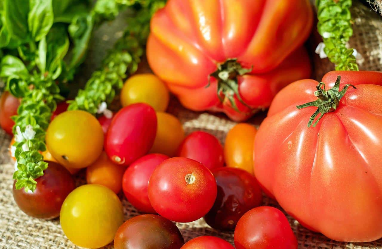 Šest důvodů, proč konzumovat pravidelně rajčata