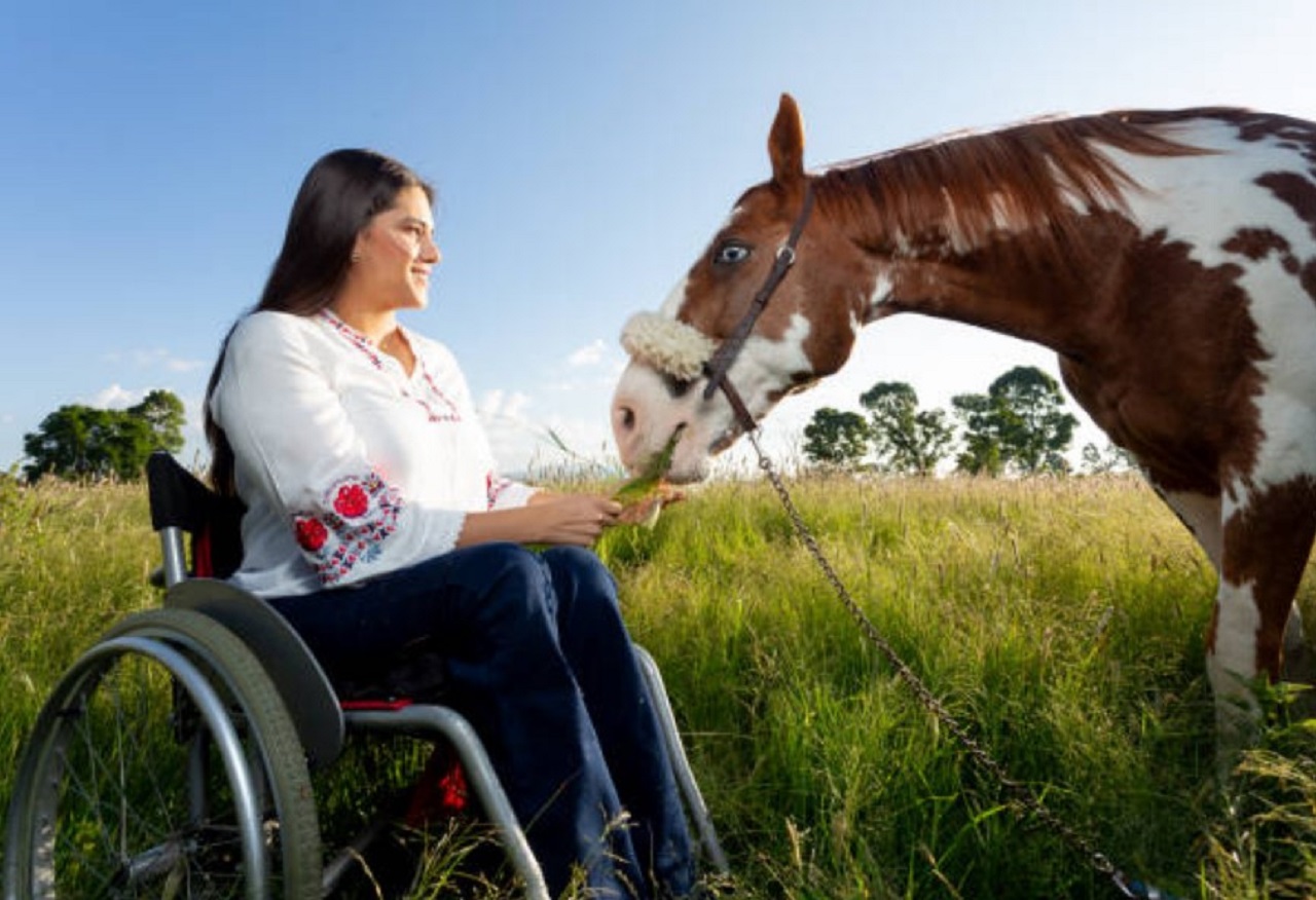 Kůň, který pomáhá pacientům s nevyléčitelnými chorobami v nemocnici.