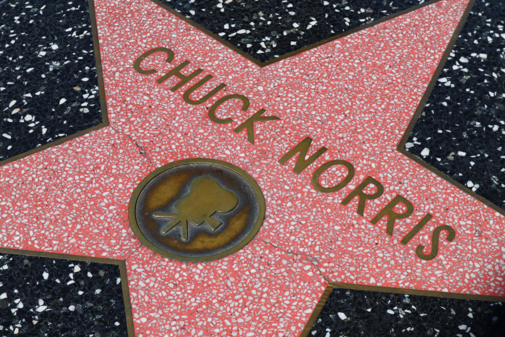 Těžké časy v životě oblíbeného hrdiny Chucka Norrise zastavily jeho kariéru