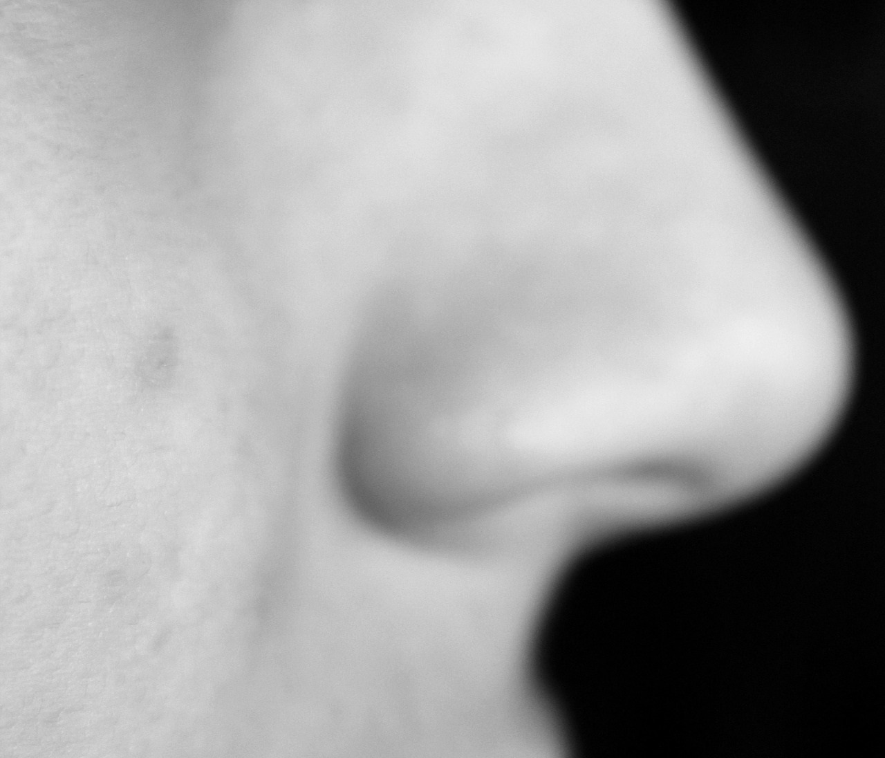 Co prozrazuje tvar nosu o vaší osobnosti? Podívejte se sami