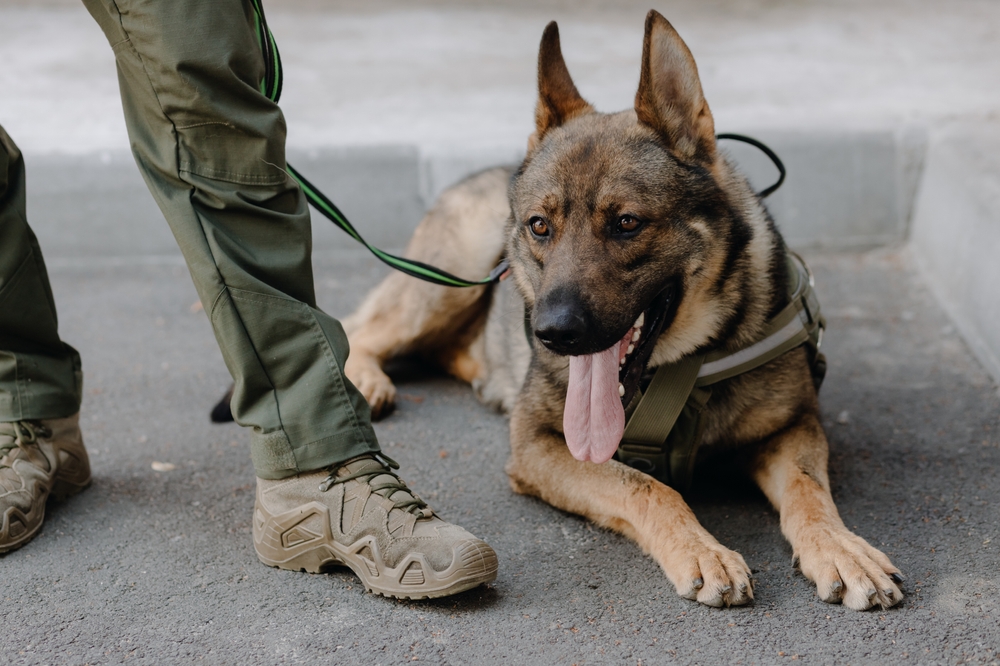 Válečný veterán a jeho věrný pes spolu byli až do úplného konce