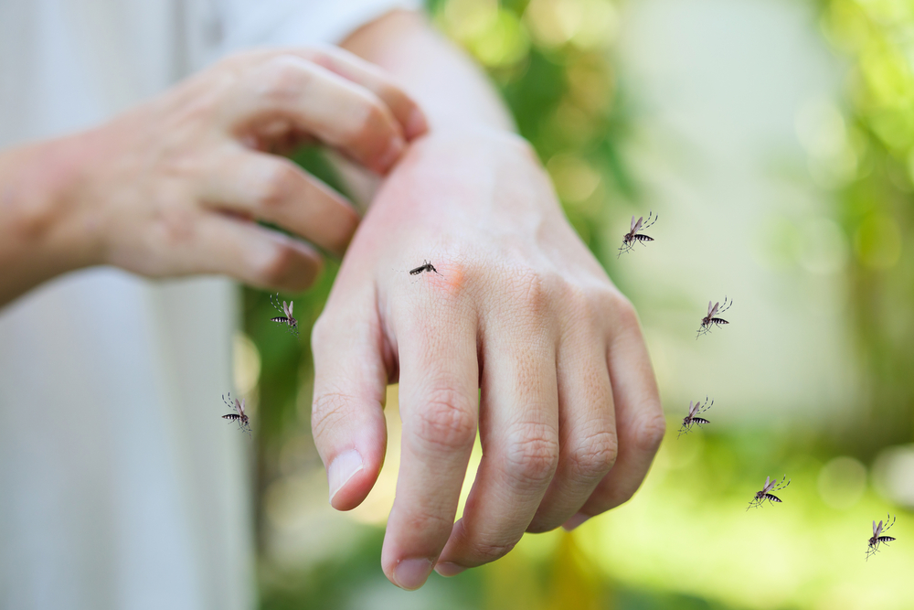 Zkuste starý jižanský trik na odpuzení much ze svého domova