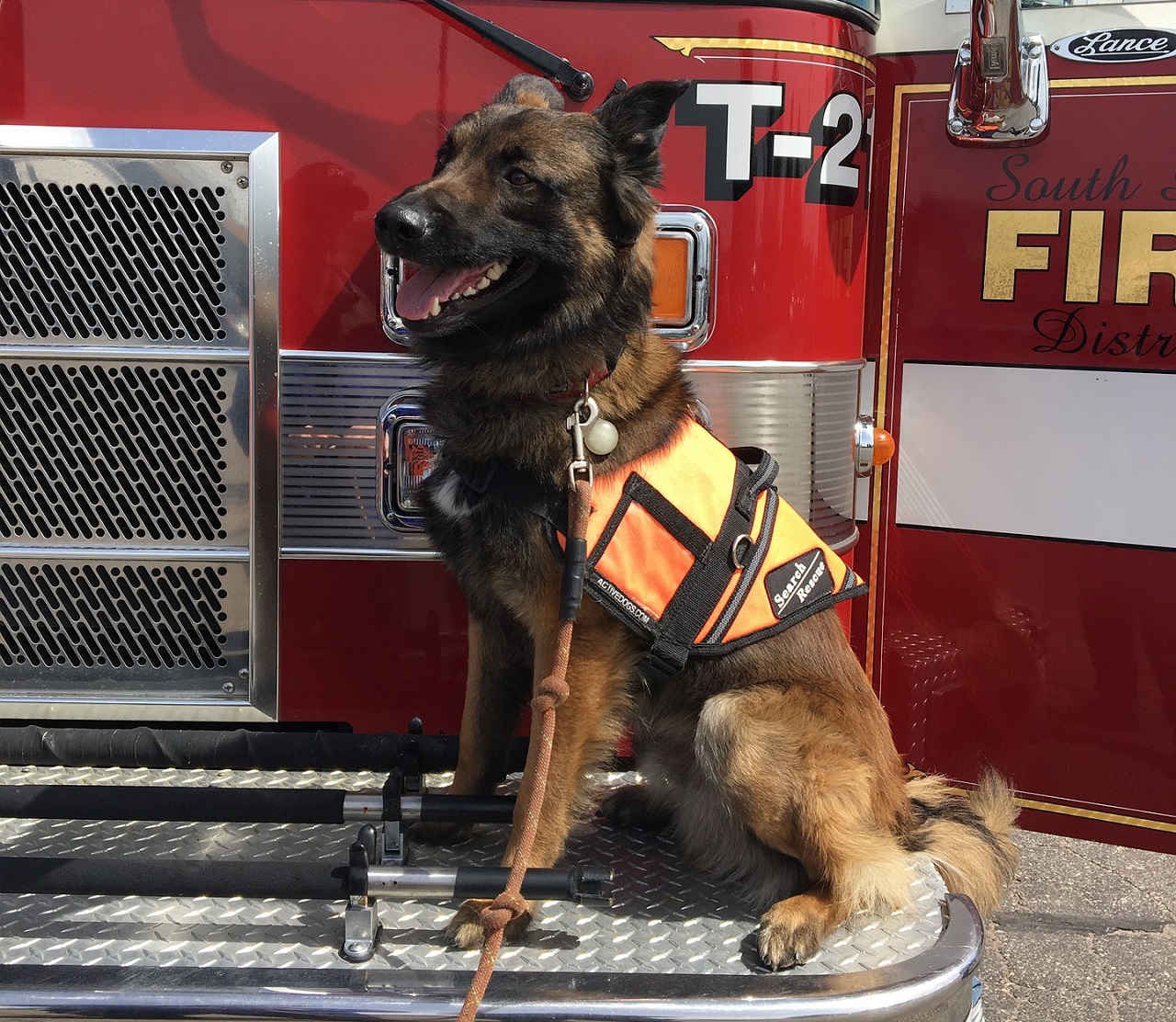 Policejní pes ve výslužbě neváhal a zachránil děti z hořícího domu