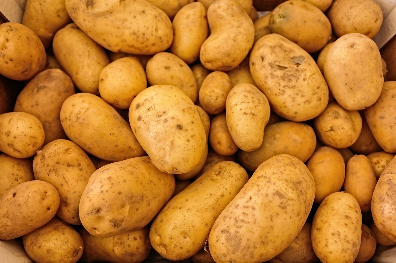 Jak správně skladovat brambory, abyste se neotrávili?