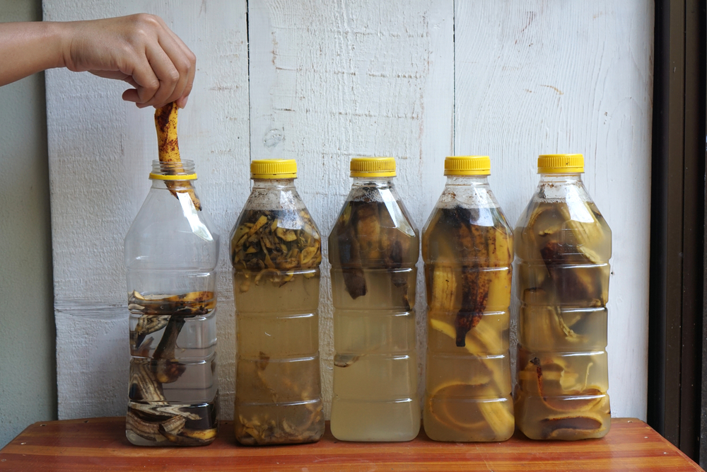 Vyzkoušejte tento trik: vložte banánové slupky do láhve a pozorujte fascinující výsledky vašich rostlin