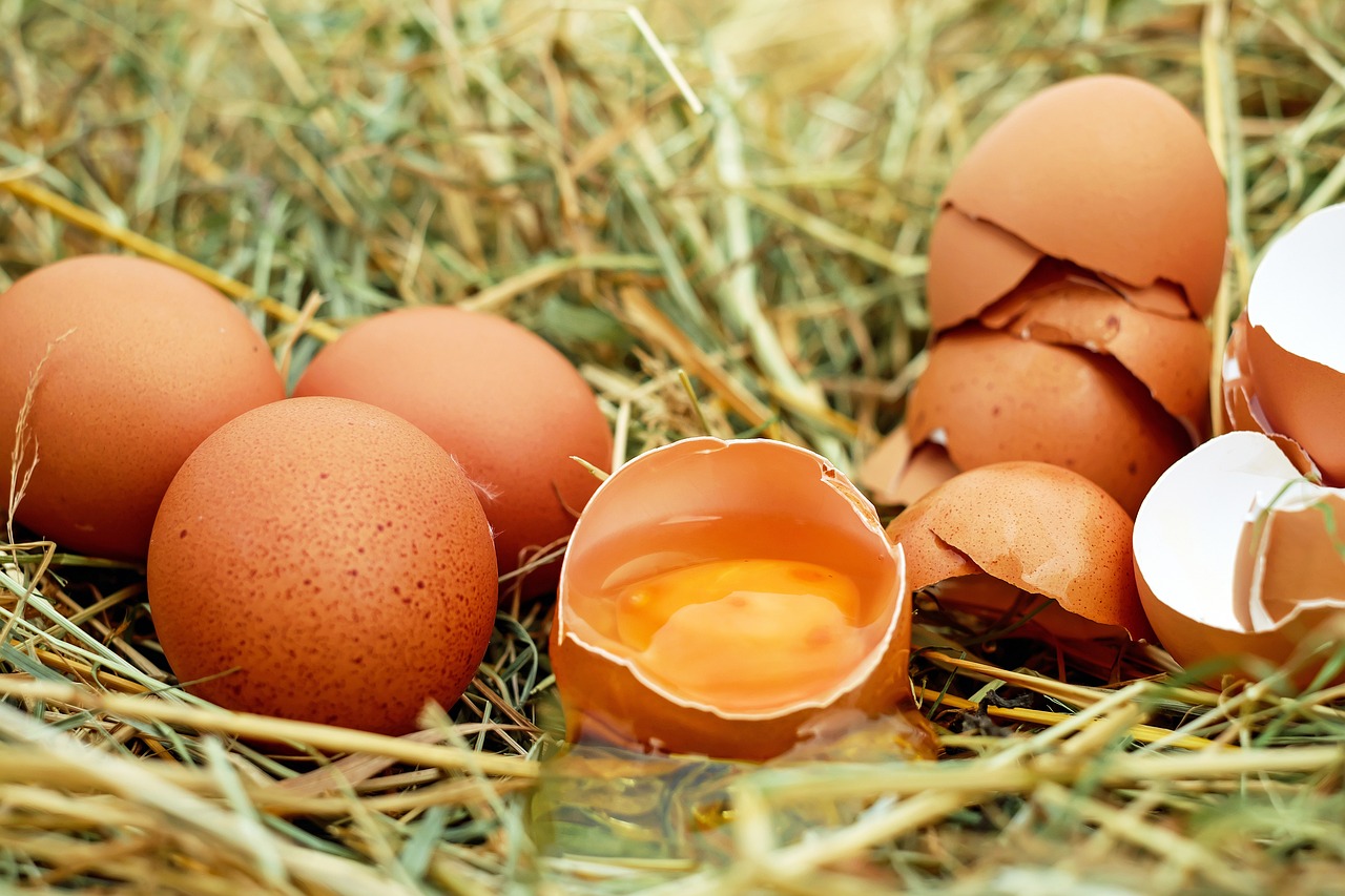 Víte, jaký je rozdíl mezi bílými a hnědými vejci?