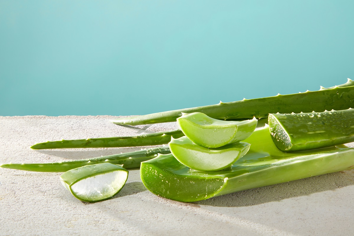 Směs aloe vera a vína je skvělá pro prevenci rakoviny