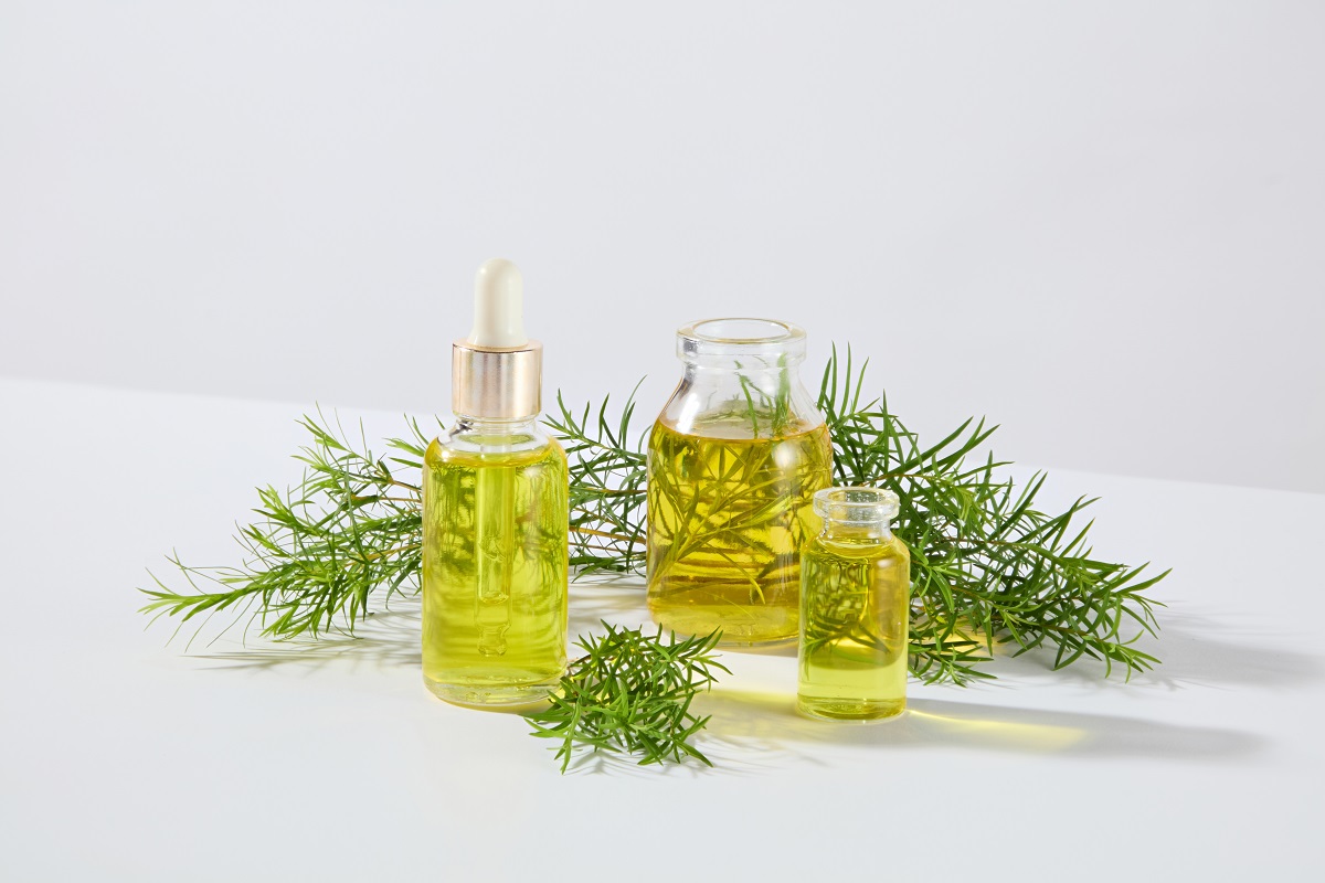 8 tipů na použití tea tree oleje pro krásu i zdraví