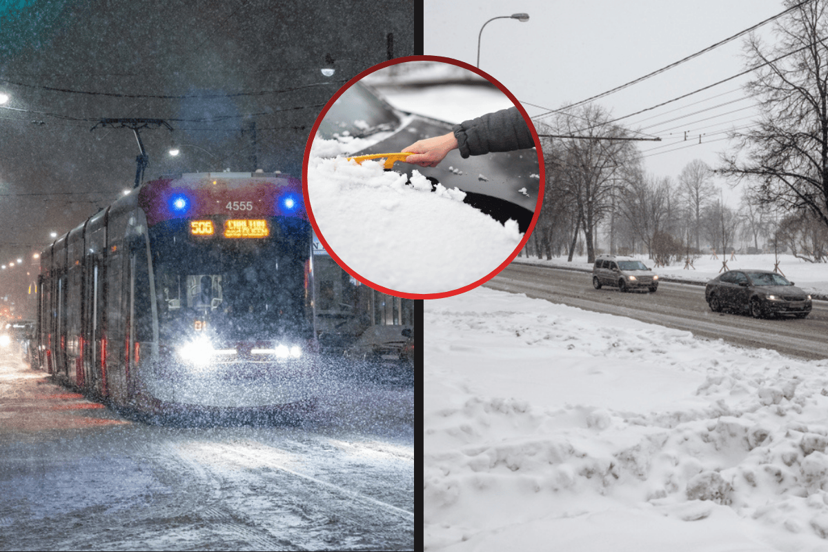 Sníhová smršť udeří už v noci! Meteorologové varují před 20 cm sněhu a větrem o síle bouře! Kde bude nejhůř?