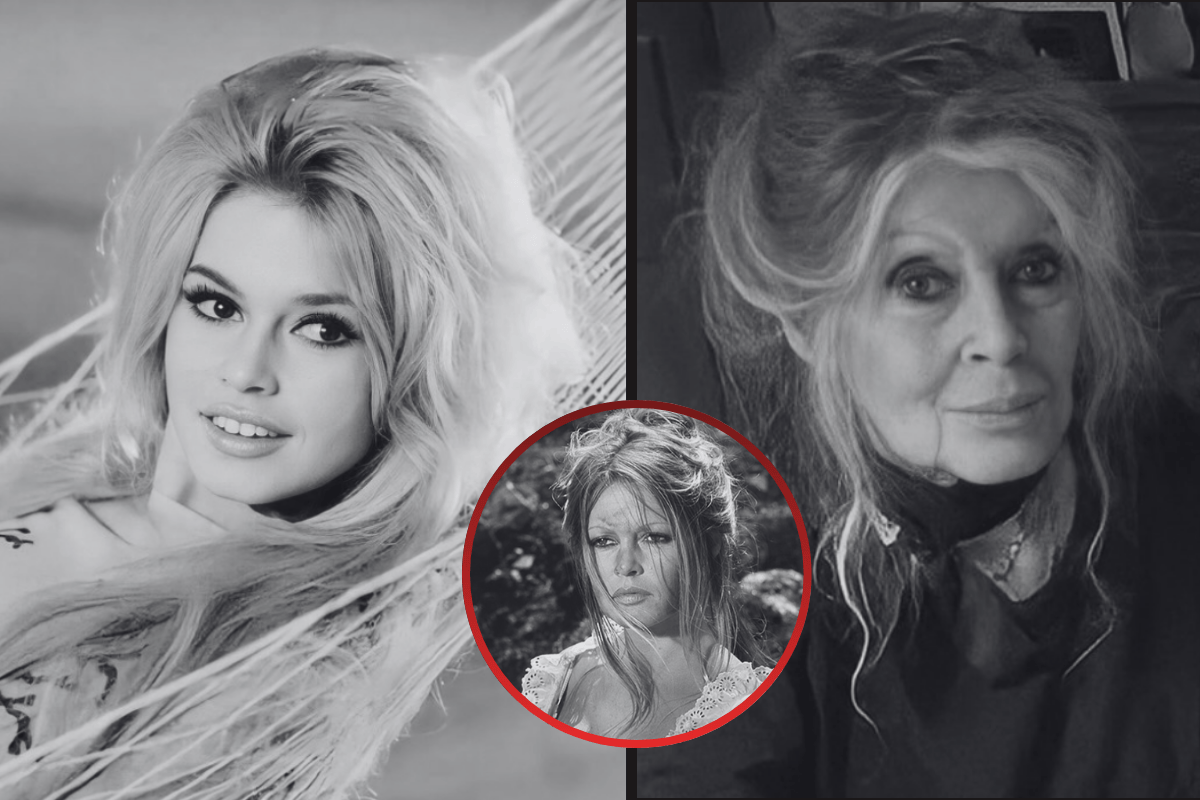 Zemřela ikona Brigitte Bardot! Odešla ve 91 letech a zanechala po sobě víc než jen slavné role!