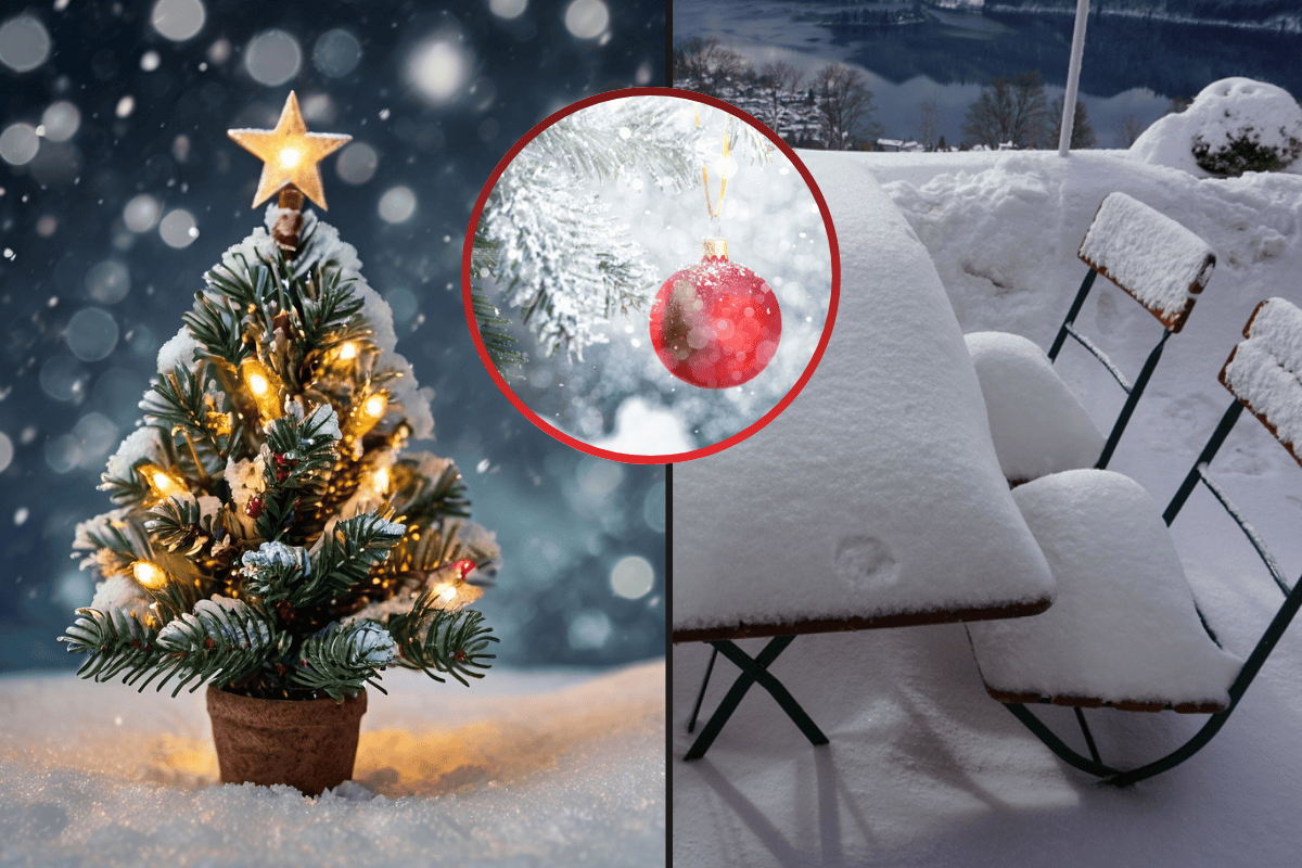 Konečně bílé Vánoce? Česko čeká zimní zvrat! Meteoroložka prozradila na co se můžeme těšit!