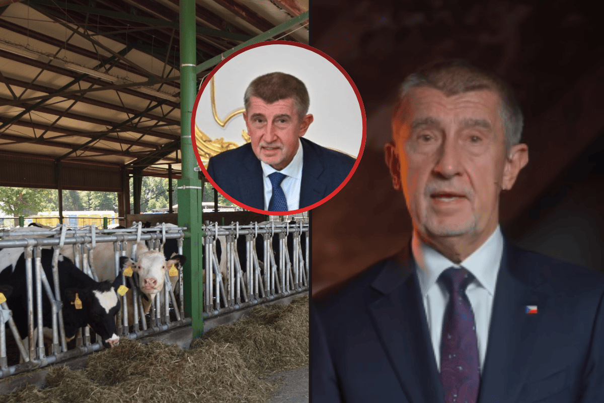 Konečné rozhodnutí Andreje Babiše! Ve večerním videu přiznal řešení střetu zájmů! Toto rozhodnutí ohledně Agrofertu nikdo nečekal!