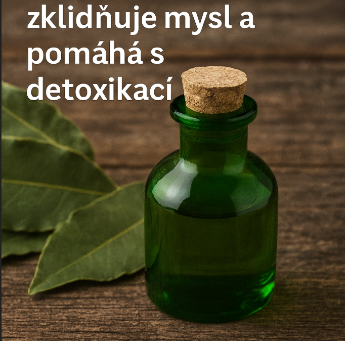 Bobkový olej: zapomenutý přírodní elixír, který ulevuje kloubům, zklidňuje mysl a pomáhá s detoxikací