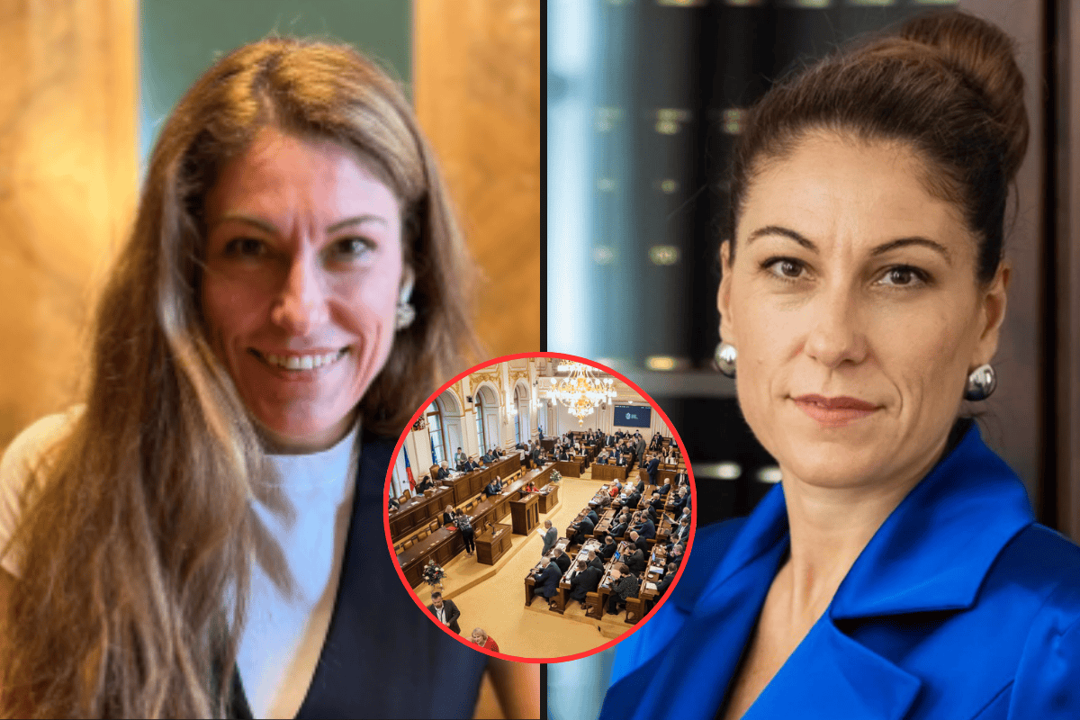 „Slunce, seno, Sněmovna!“ Decroix ukázala noční realitu poslanců – tohle se dělo těsně před půlnocí!