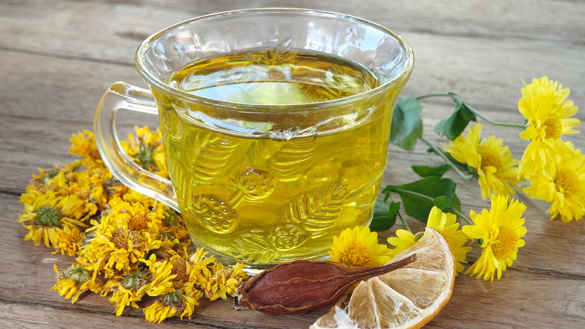 Skrytá síla pampelišek: Pomáhají lidskému tělu více, než tušíte