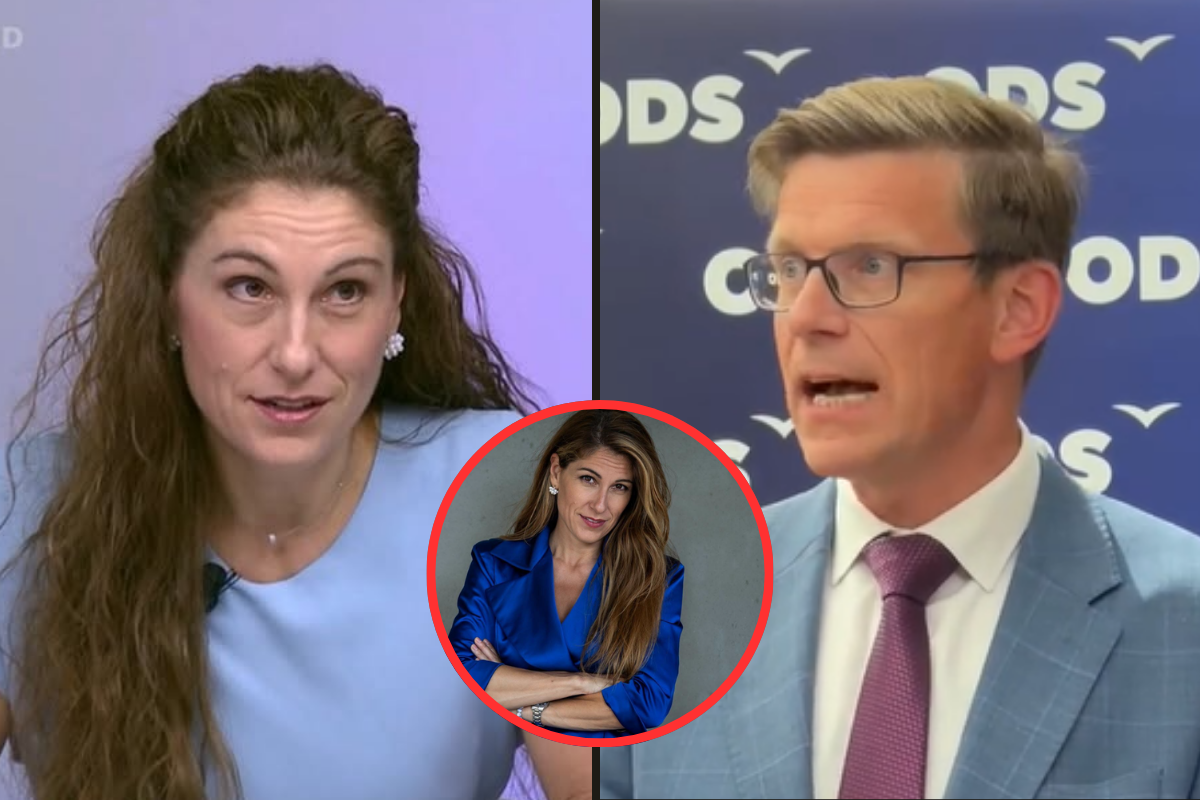 Decroix narazila ve vlastní straně! Decroix narazila ve vlastní straně! Rozdělí citlivé téma ODS?