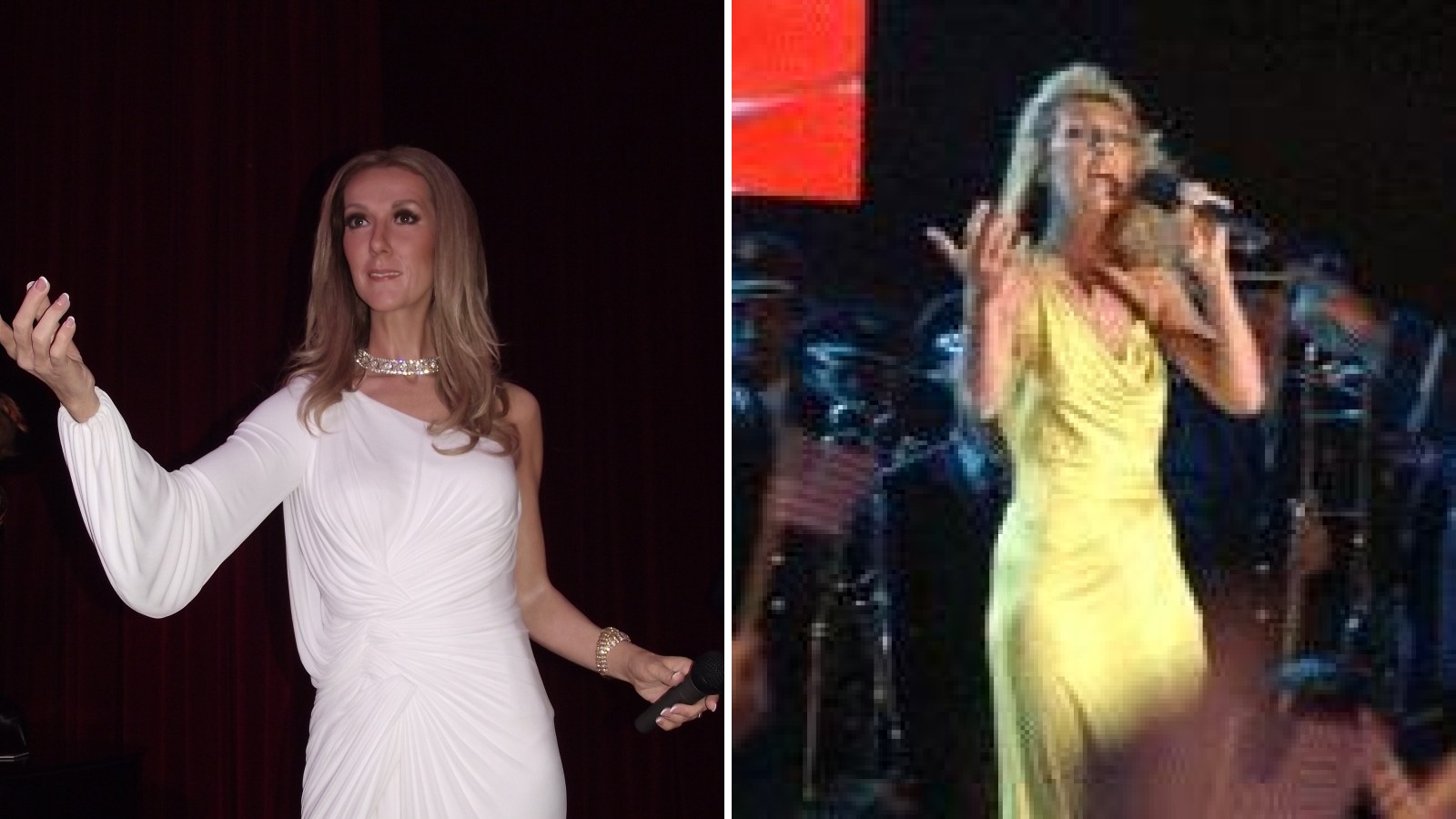 Mrazivé detaily návratu Céline Dion na pódia: V bolestech ji museli podpírat přímo před fanoušky! Co skrývala za úsměvem?
