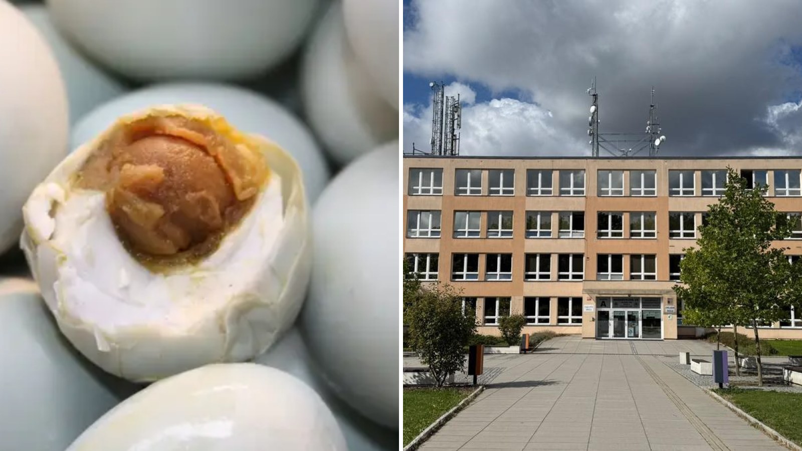 Školní jídelna vařila špagety z prošlých vajec: 41 dětí skončilo v nemocnici! Co teď čeká rodiče a školu v Újezdu nad Lesy?